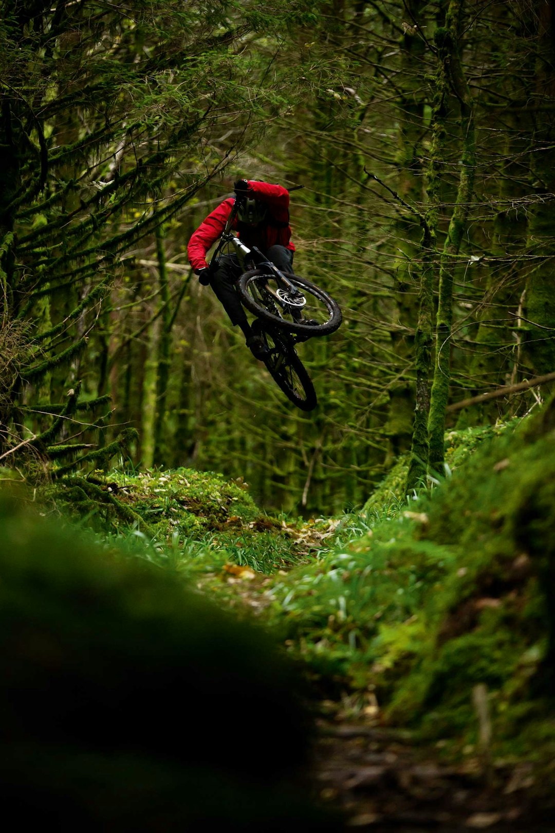TRESKRUBBING: Preben Nøkleby går høyere enn de fleste. Stend er fullt av naturlige hoppkanter i terrenget, og her benytter han muligheten til å suse lavt under grenene på træne. Stisykling-i-Bergen-6