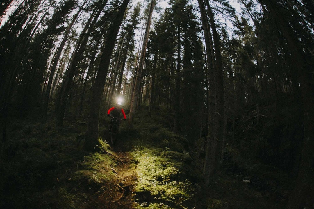 LYS I MØRKET: Har du ikke investert i en god sykkellykt ennå? Vi har testvinnerne samlet. Foto: Kristoffer H. Kippernes test sykkellykt