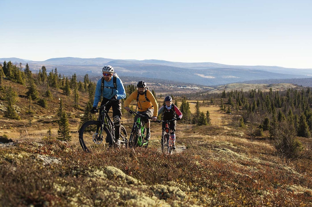 Stisykling i Venabygdsfjellet og områdene rundt Ringebu byr på mye urørt sti. Foto: Kristoffer Kippernes Stisykling i Venabygdsfjellet og områdene rundt Ringebu byr på mye urørt sti. Foto: Kristoffer Kippernes