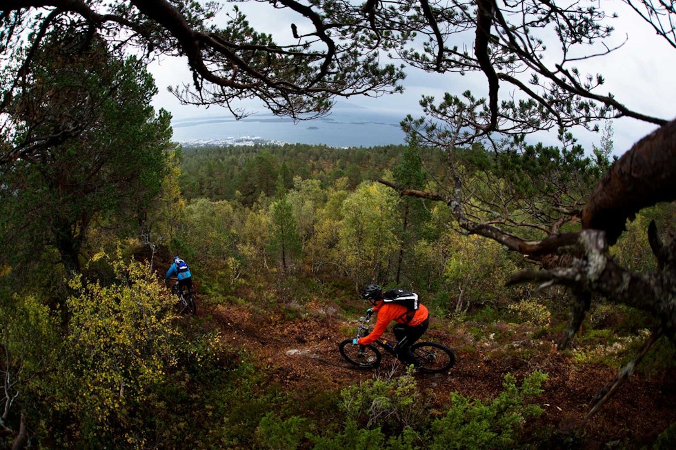 Langt der nede: Pål Nakken og Hallvar Barlaup tar seg ned mot byen gjennom skogen fra utsiktspunktet varden. Moldemarka-stibygging-5