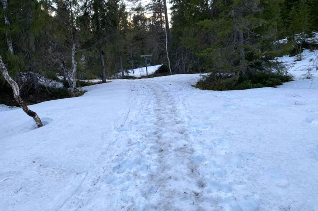 VINTERSYKLING: Rundt Kobberdammen i Trondheim er det forsatt fine forhold for vintersykling. Foto: Morten Karlsen Fatbikeforhold på Kobberdammen Trondheim