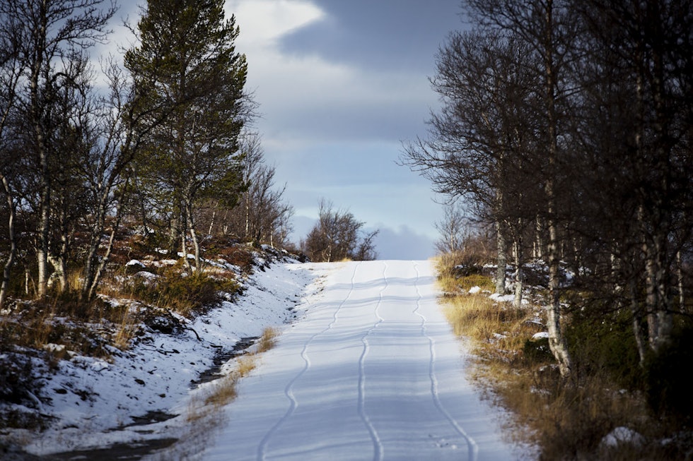 TRE: Ingen andre å spore ute denne tidlige vintermorgenen. Foto: Kristoffer H. Kippernes sykling røros