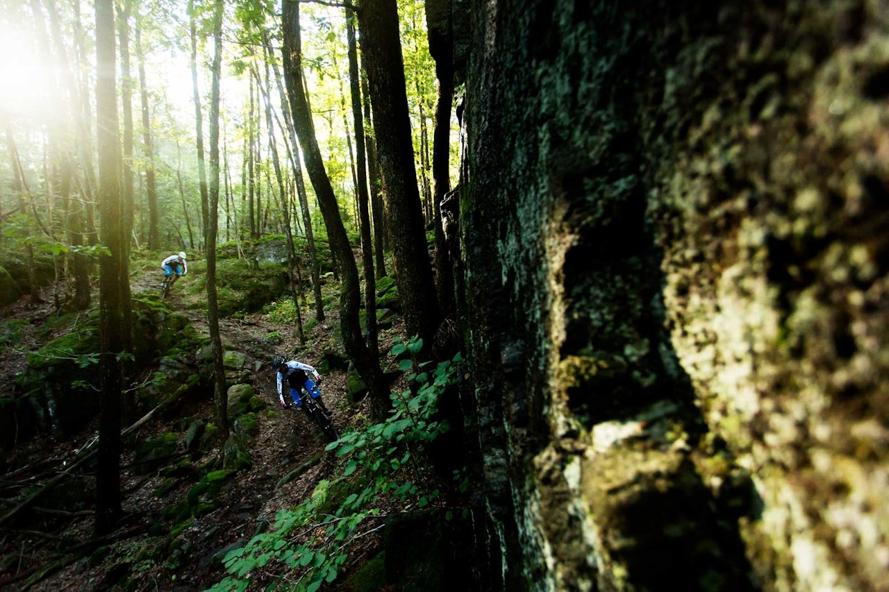 Steffen Dutton og Øyvind Østvedt terper på svingteknikken i fine svinger bak Holmenkollen. / Stisykling i Norge. Steffen Dutton og Øyvind Østvedt terper på svingteknikken i fine svinger bak Holmenkollen. / Stisykling i Norge.