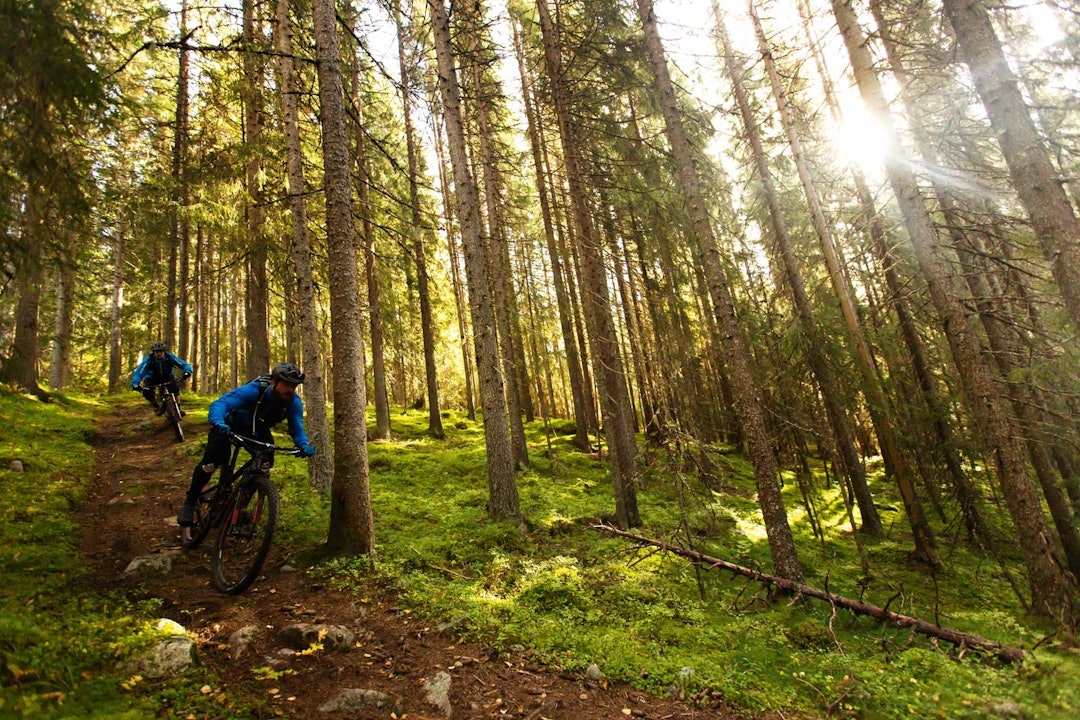 BRATT: Atle Enberget og Timothy Glazebrook tar for seg en av mange fine utforpartier fra Bjønnåsen ned mot Trysil sentrum. Trysil-Stisykling-9