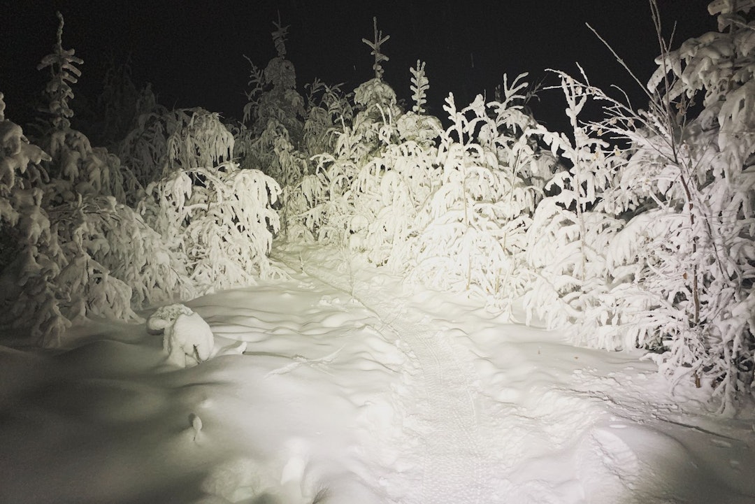 Med riktig lyssetting blir fatbiketurene enda bedre. Foto: Ole Christian Fagerli