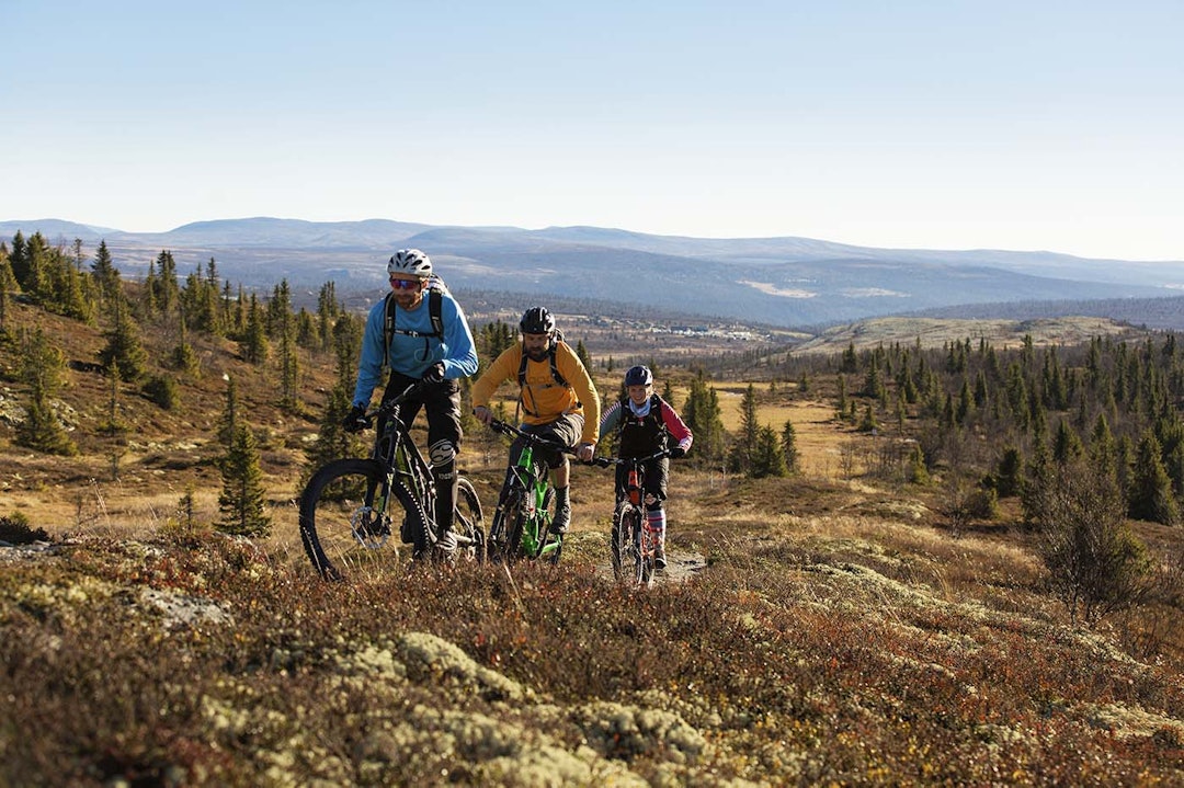 Venabygdsfjellet 2016 - Kristoffer Kippernes 1400x933