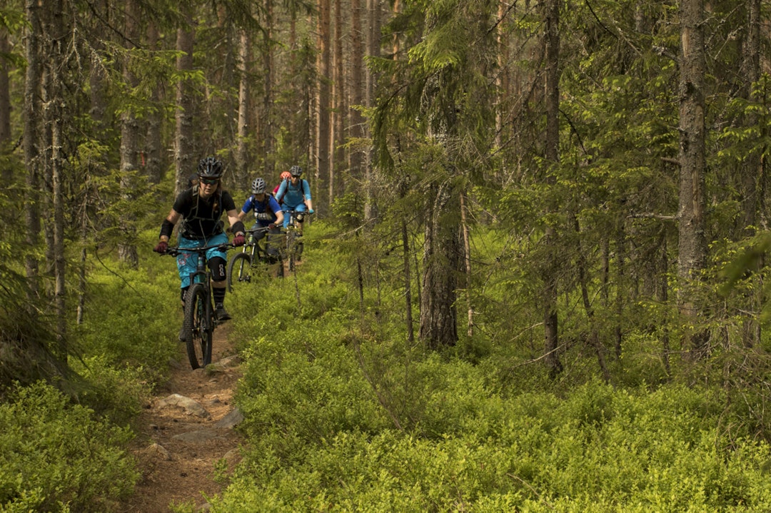 FOTO: Per-Eivind Syvertsen _ES_1422