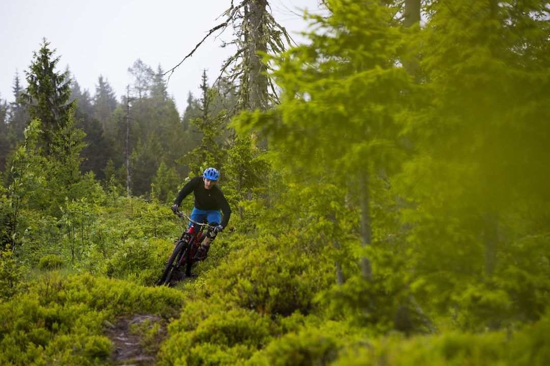 FOTO: Snorre Veggan utflukt_lørdag-5750a