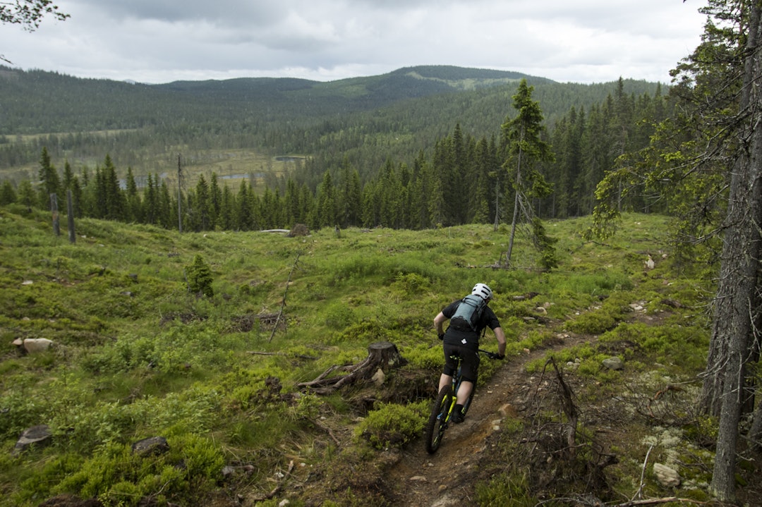 FOTO: Per-Eivind Syvertsen _ES_1734