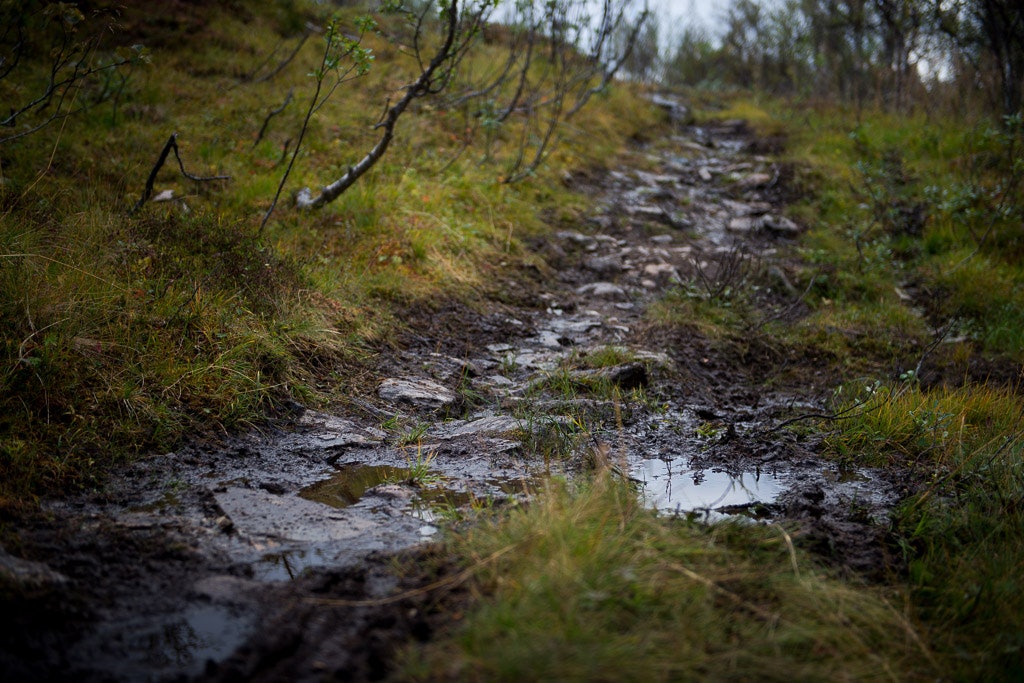 Skaidi (11 of 45) Skaidi (11 of 45)