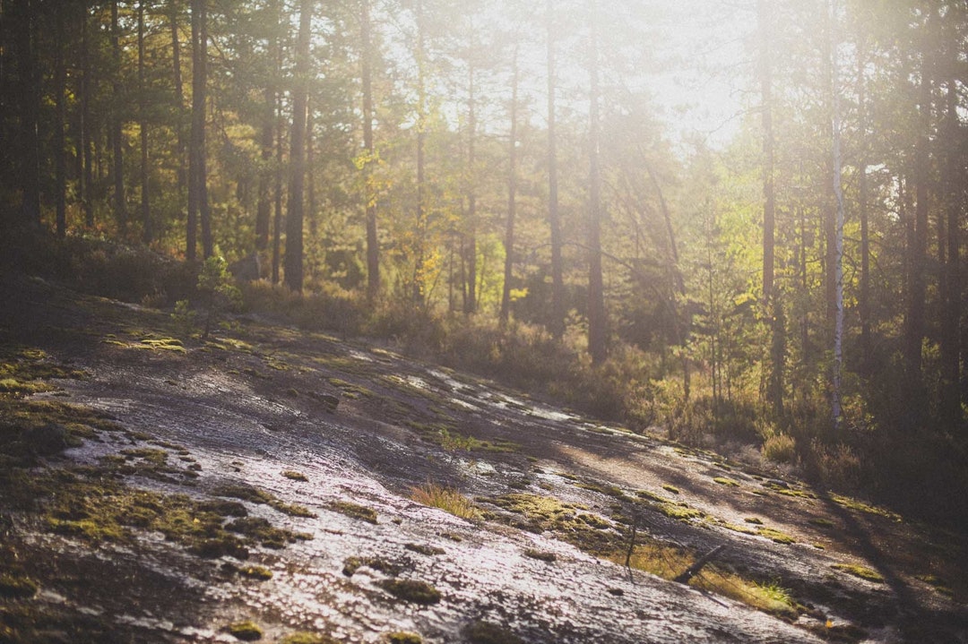 bilder drammen enduro 2020