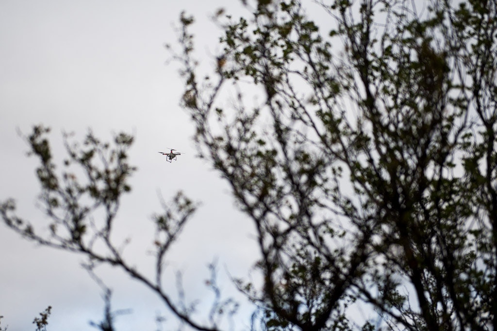 Skaidi (15 of 45) Skaidi (15 of 45)