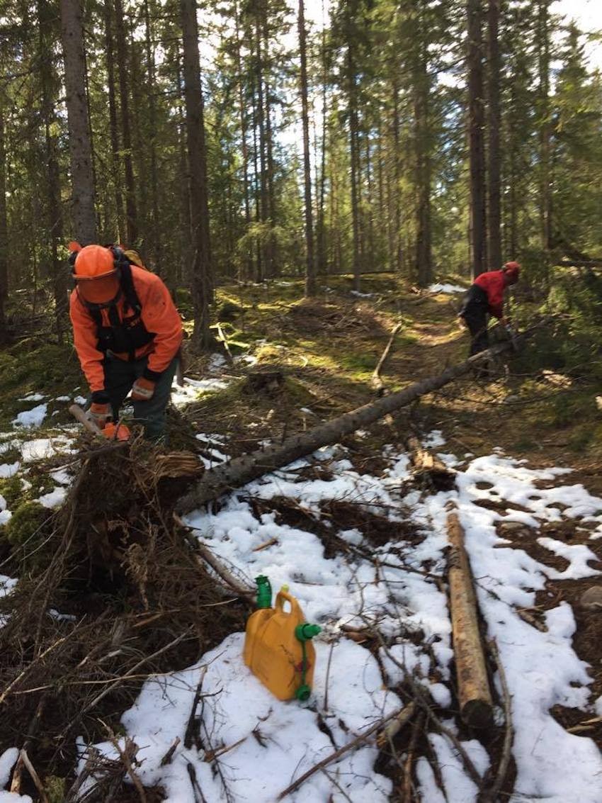 Det er lagt ned mange dugnadstimer i løpet av våren. Foto: Espen Sandvold Dugnad - Foto Espen Sandvold 850x