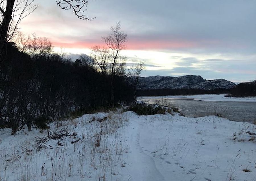 Global Fatbike Day i Alta. Foto: Ida Grubben Global Fatbike Day i Alta. Foto: Ida Grubben