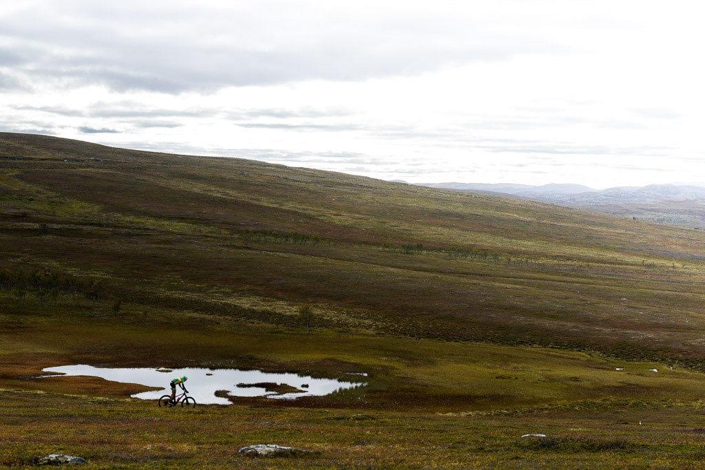 Skaidi (30 of 45) Skaidi (30 of 45)
