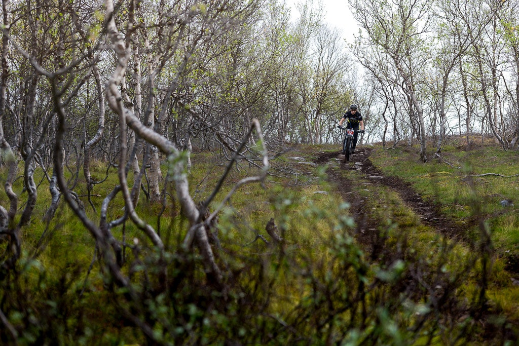 Skaidi (36 of 45) Skaidi (36 of 45)