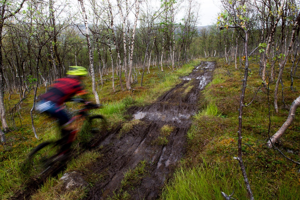 Skaidi (37 of 45) Skaidi (37 of 45)