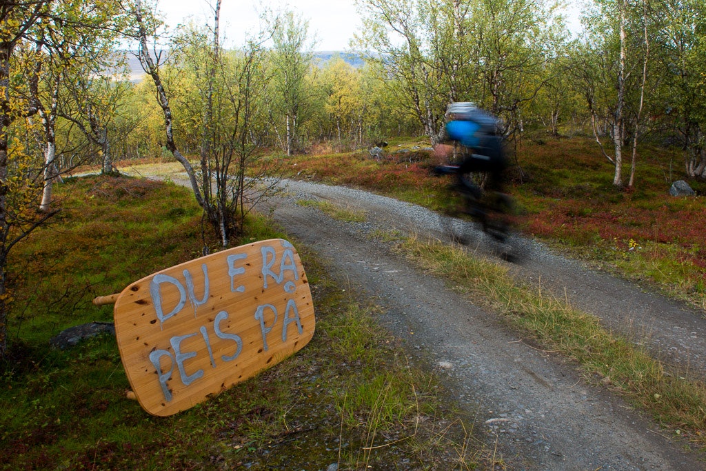 Skaidi (38 of 45) Skaidi (38 of 45)