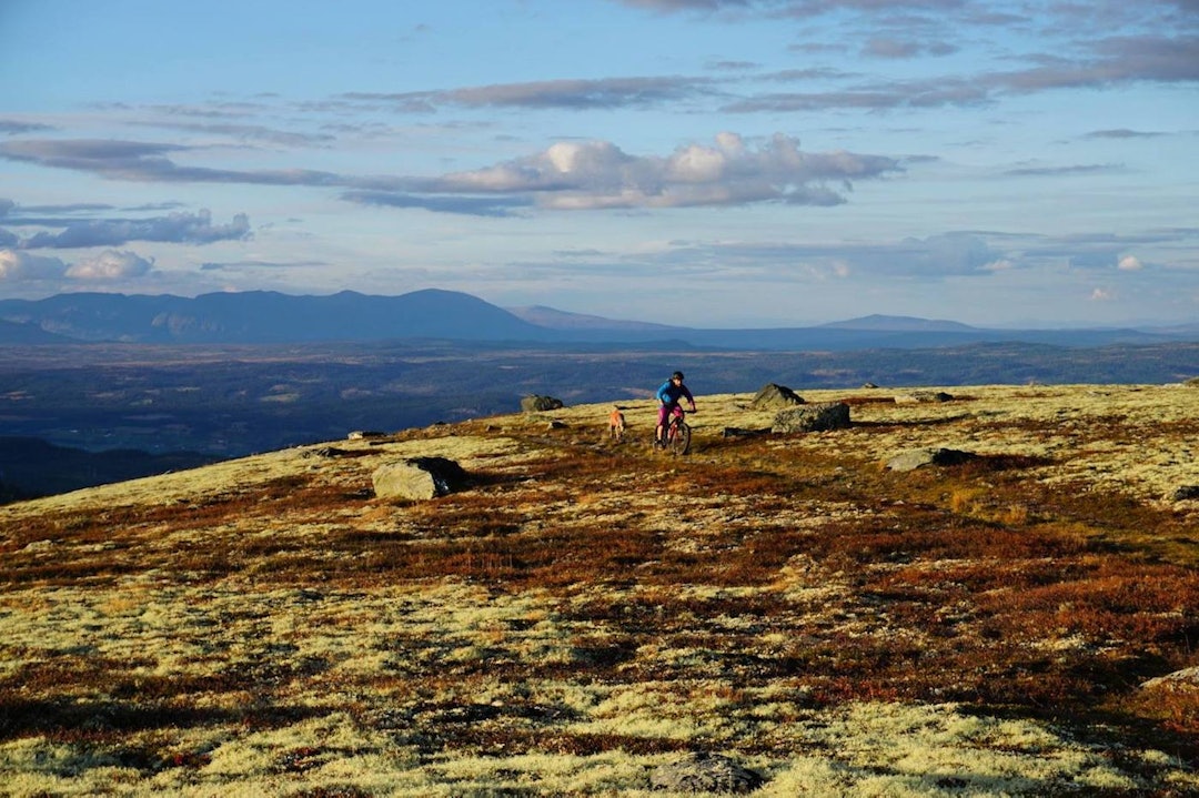 Med det nye prosjektet blir løypene i fjellet mer tilgjengelige. Foto: Ove Grøndal Fall Cycling 2016 Dyna - Ove Grøndal 1400x933