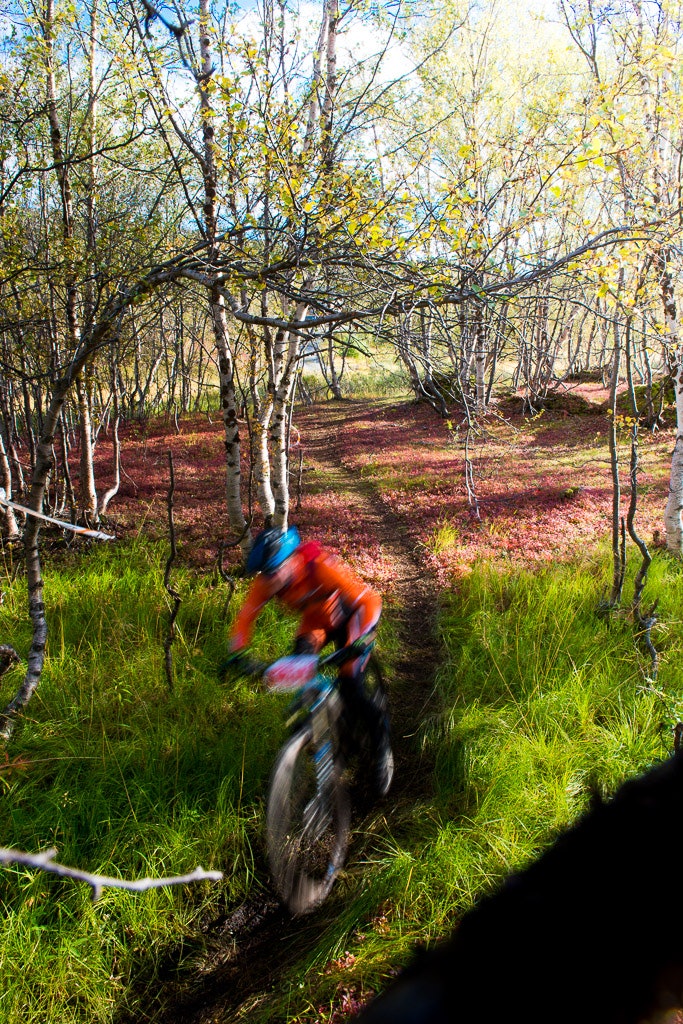 Skaidi (39 of 45) Skaidi (39 of 45)