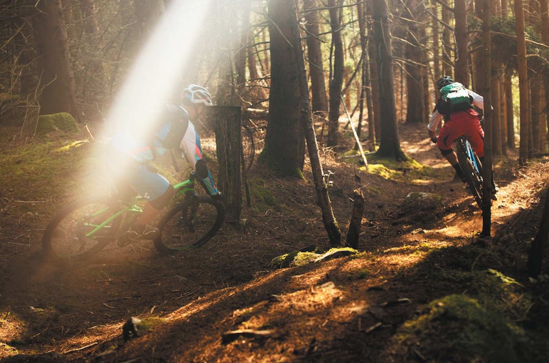 Barnålsurfing: Fra Haugsvarden ned mot Gloppefjorden må du regne med å treffe forskjellige typer terreng. Løs barnålsskogsbunn gjør det hele litt ekstra spennende. Barnålsurfing: Fra Haugsvarden ned mot Gloppefjorden må du regne med å treffe forskjellige typer terreng. Løs barnålsskogsbunn gjør det hele litt ekstra spennende.