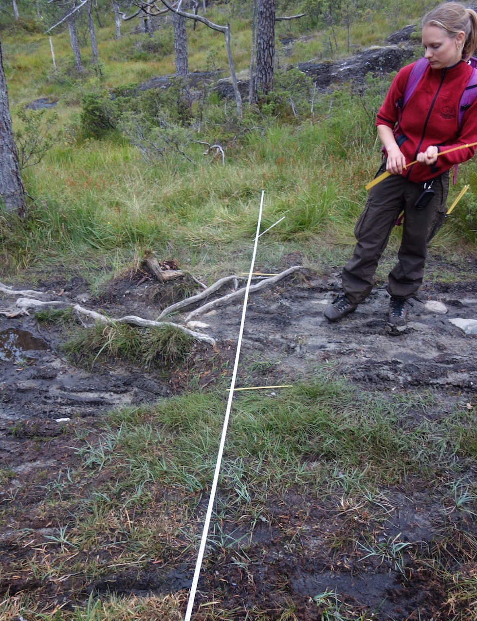 ... Og fra fjerde gangs måling av slitasje. Foto: NINA Forskere fra NINA studerer om sykling sliter mer på stier enn turgåere