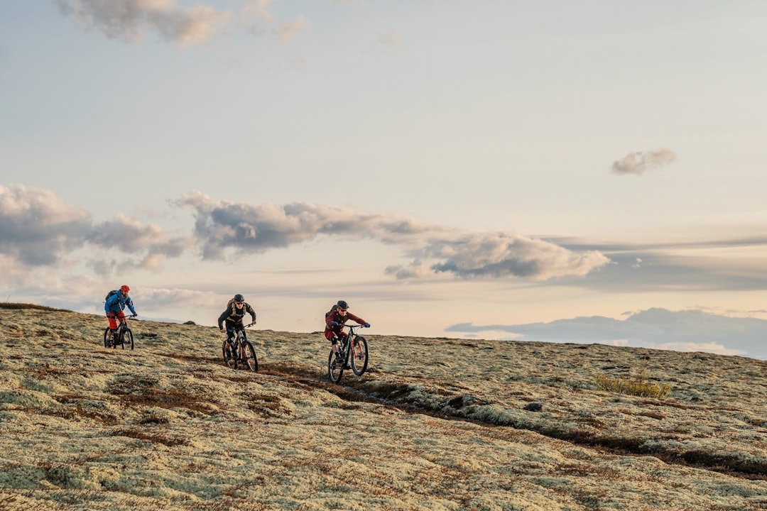 Stiene og naturen i og rundt Alvdal i Nord-Østerdalen er som skapt for stisykling, mener Urørt-grüneren Audun Jøstensen Lutnæs. Foto: Magnus Roaldset Furset Urørt utvider tilbudet