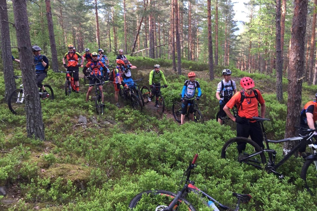 Folksomt i skogen. Foto: Markus Finholt Stitur Skien Markus Finholt 1400x933