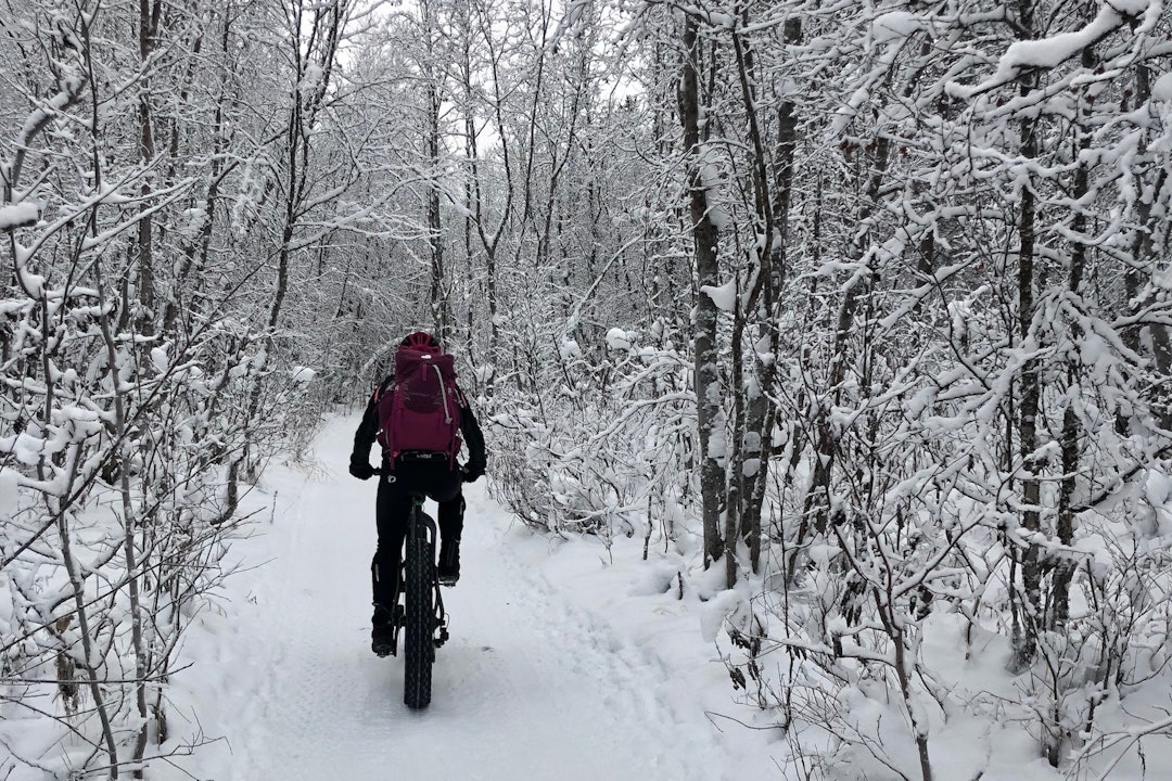 Alta har totalt 65 kilometer preppede løyper åpne nå. Foto: Marita Andreassen Flotte forhold for fatbike i Alta