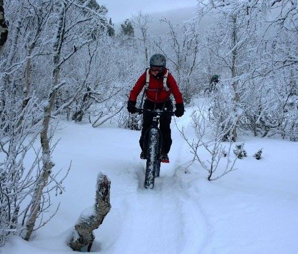 Fatbikeskogen byr på spennende spor - tråkket av trugefolket. Foto: Nina Gässler Geilo fatbike forest - Nina Gässler - 1000x