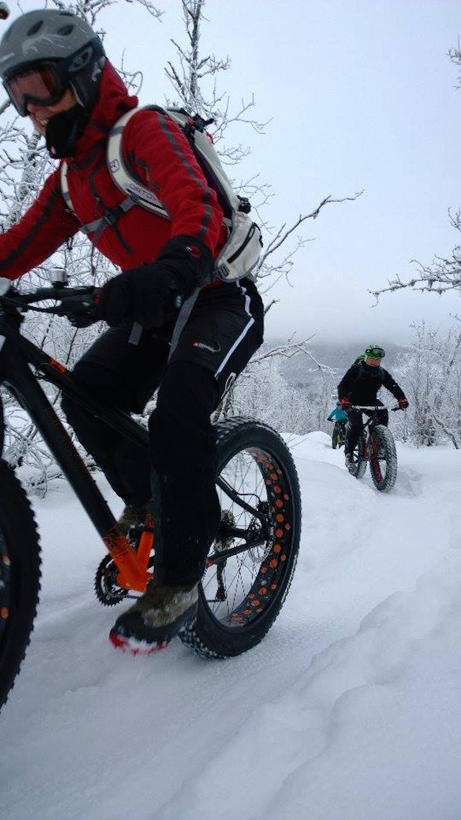 Guidet tur i fatbikeskogen. Foto: Nina Gässler Fatbike forest - Nina Gässler 900x