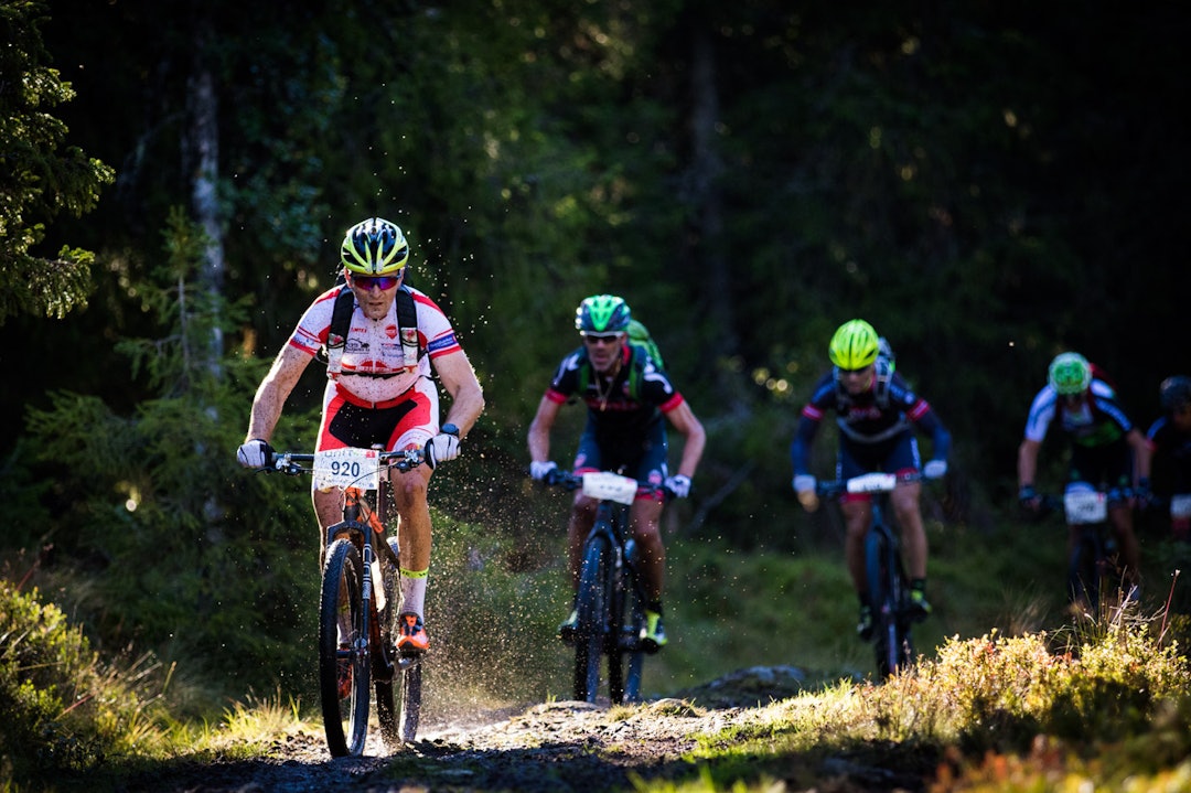 birken-0644a birken-0644a