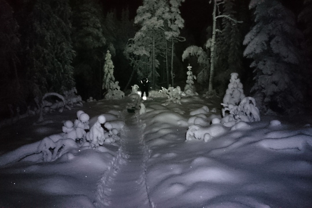 BREDT OG FETT: Stiene egner seg først og fremst til fatbike, men når det blir tråkket hardt nok vil "vanlige" dekk også fungere. Foto: Ove Grøndal DSC_0525