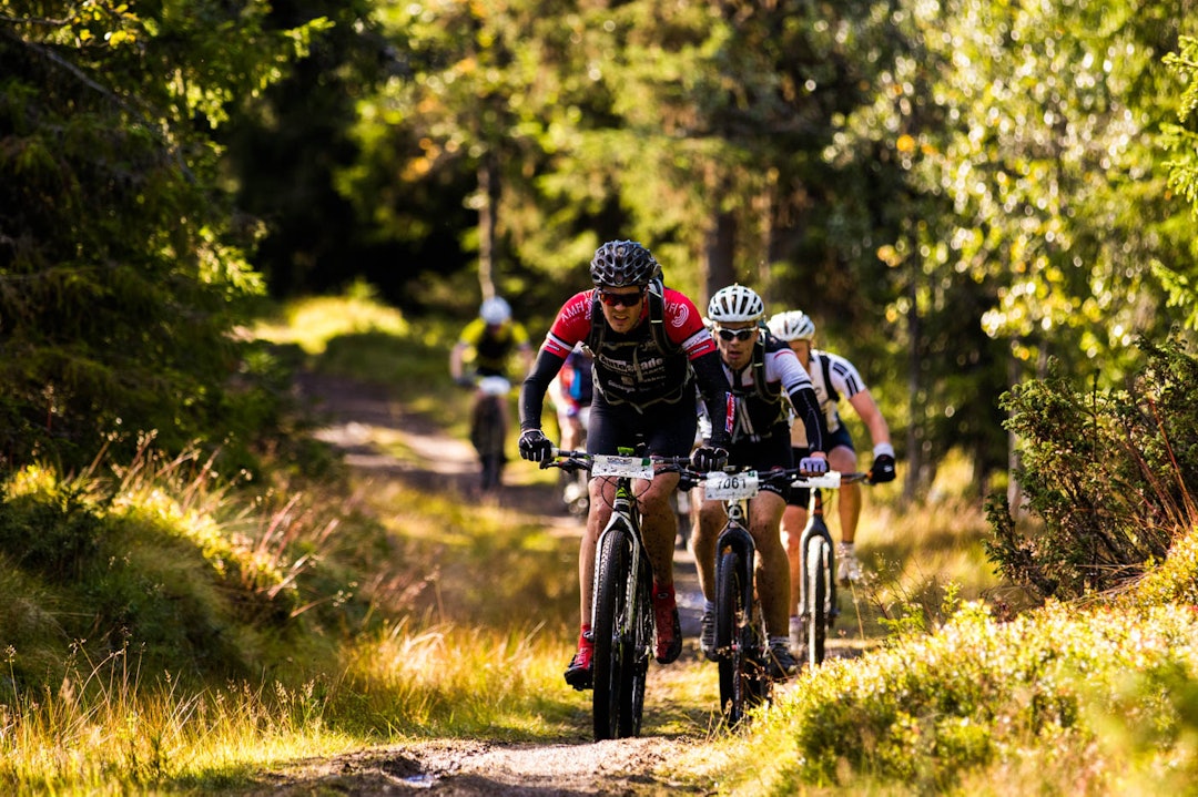 birken-0720a birken-0720a