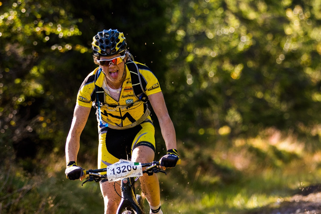 birken-0733a birken-0733a