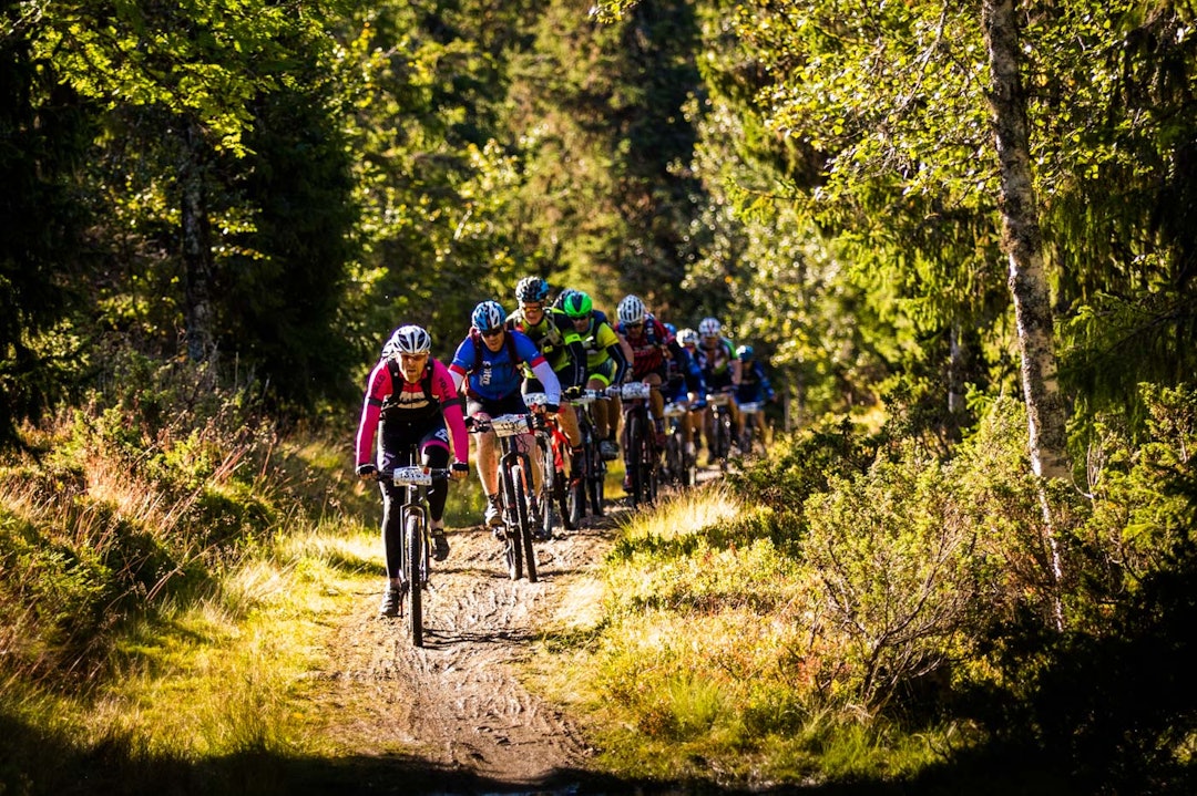 birken-0779a birken-0779a