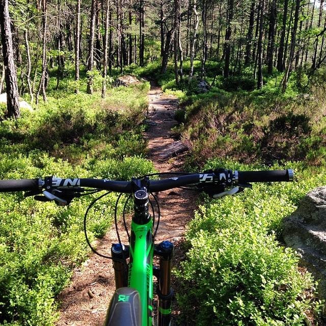 FEST UTEN SYDVEST: Værmeldingen er på lag med sørlendingene. Det bør motivere til tur. FEST UTEN SYDVEST: Værmeldingen er på lag med sørlendingene. Det bør motivere til tur.