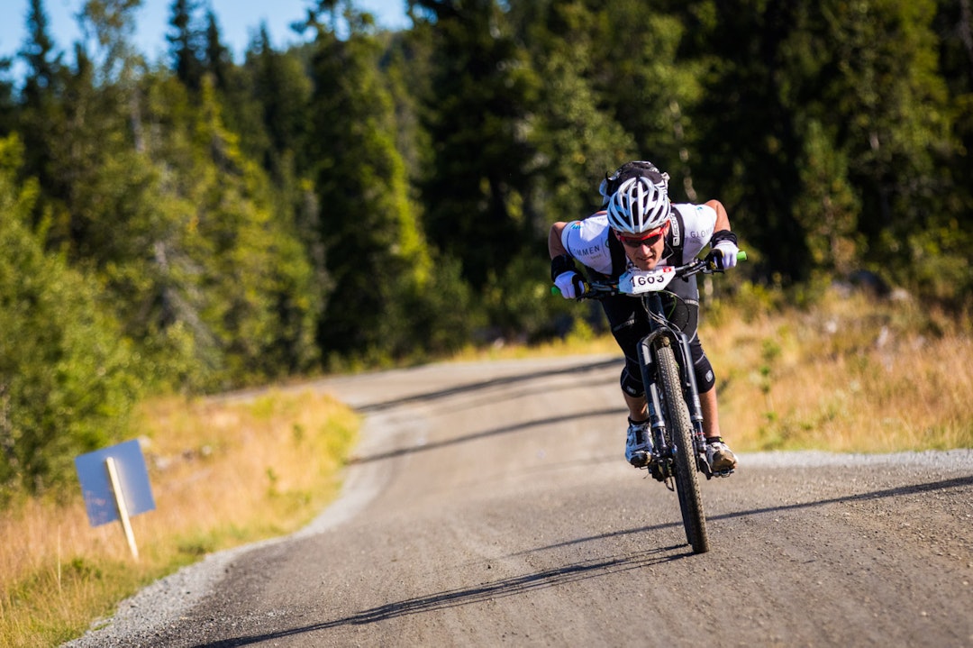 birken-1072a birken-1072a