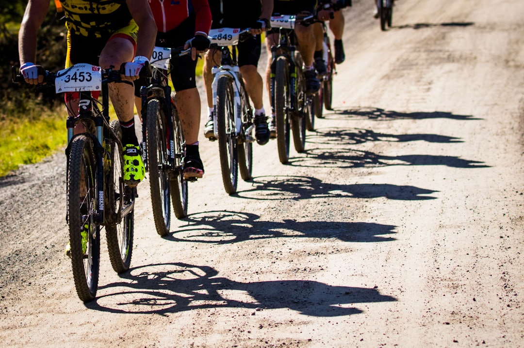 birken-1320a birken-1320a