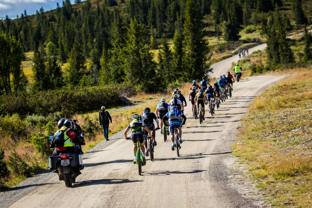 birken-1520a birken-1520a