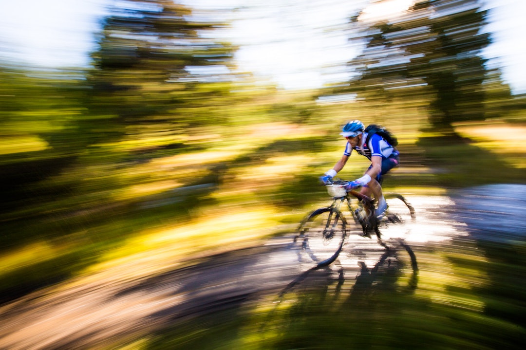 birken-2731a birken-2731a