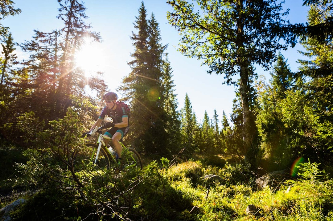 birken-2783a birken-2783a