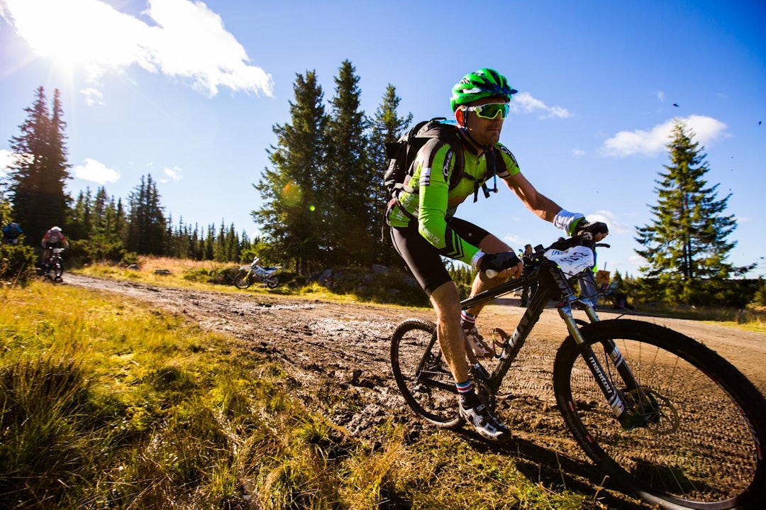 birken-2852a birken-2852a