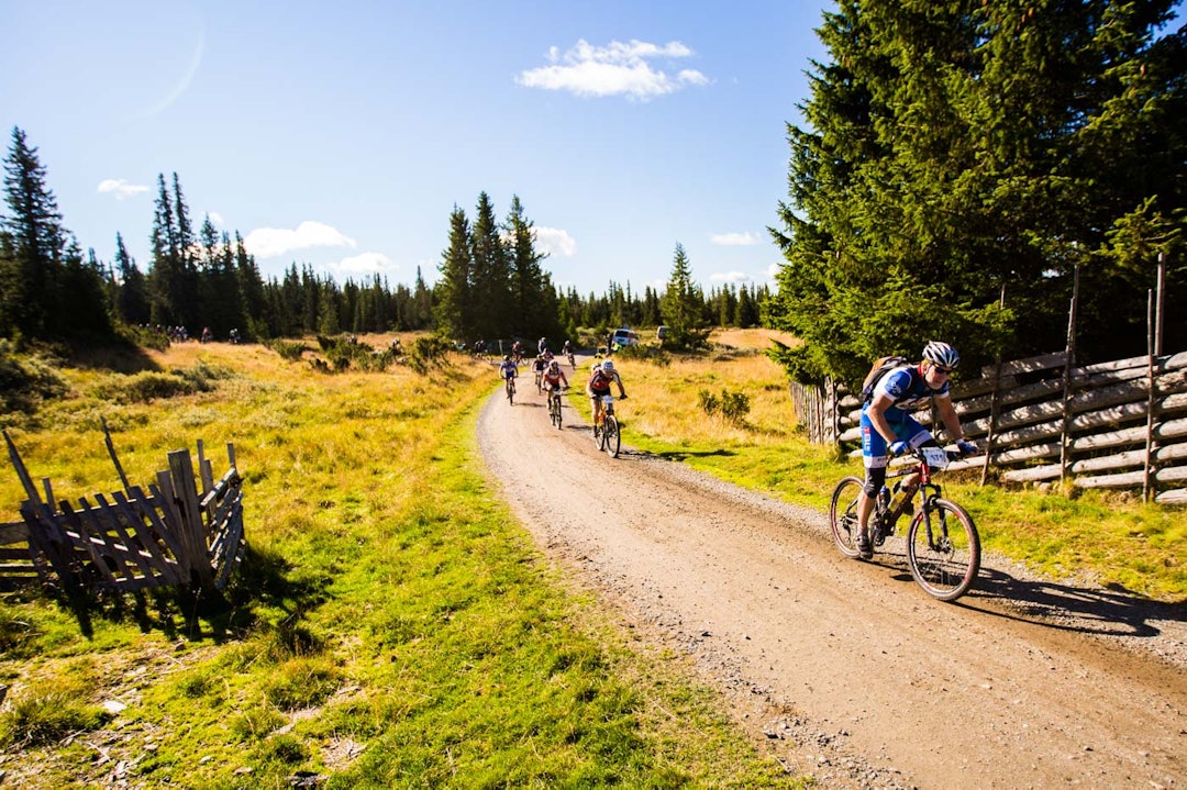 birken-2890a birken-2890a