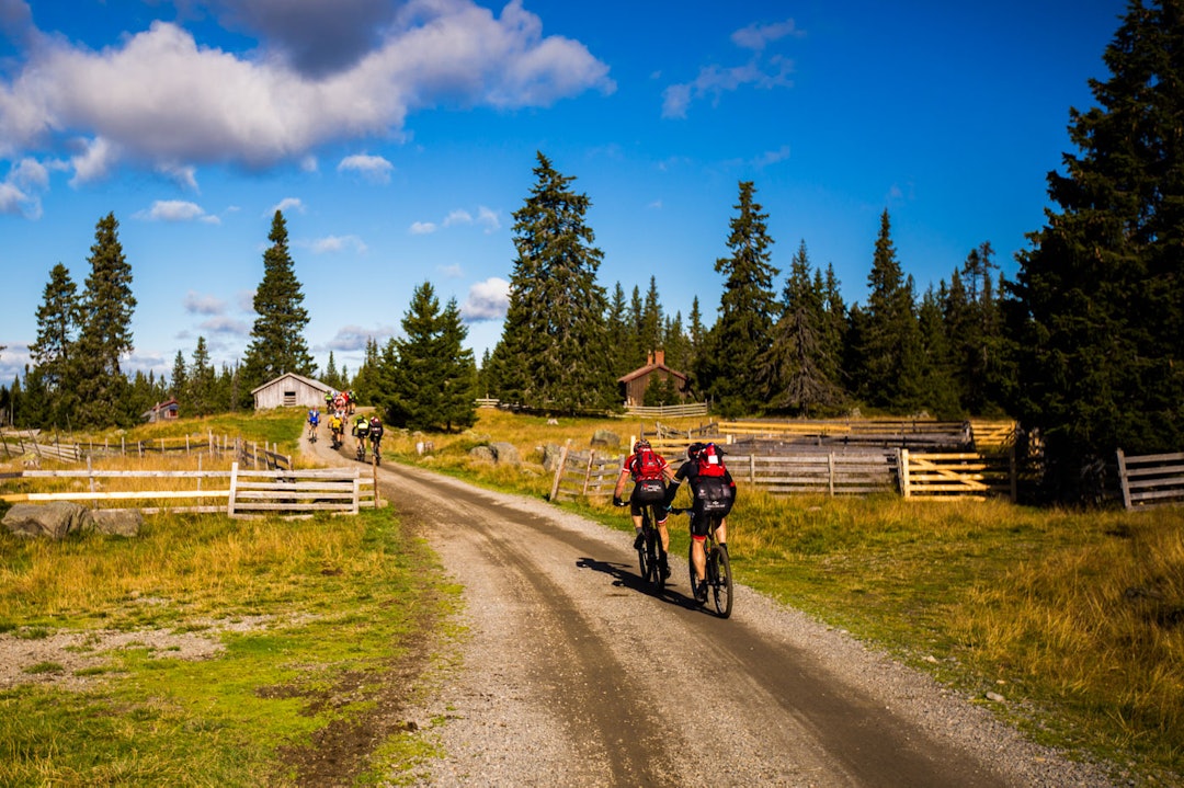 birken-2892a birken-2892a