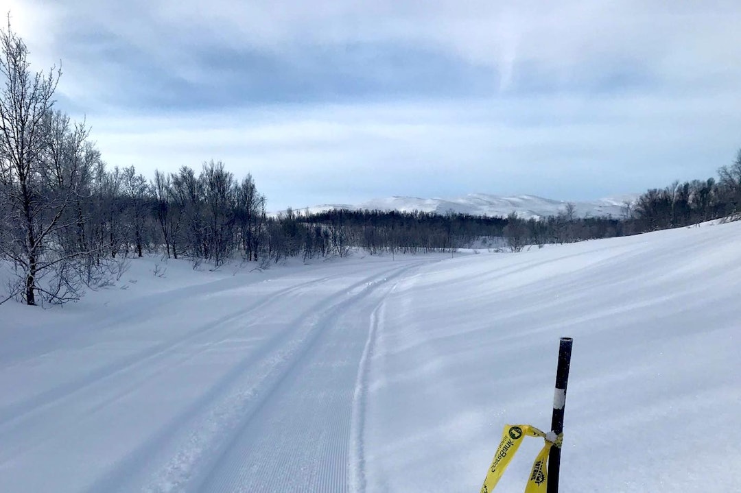 Slik så vidderunden i Skaidi Fatbike ut på onsdag. Foto: Odd Peder Wang-Norderud Slik så vidderunden i Skaidi Fatbike ut på onsdag. Foto: Odd Peder Wang-Norderud