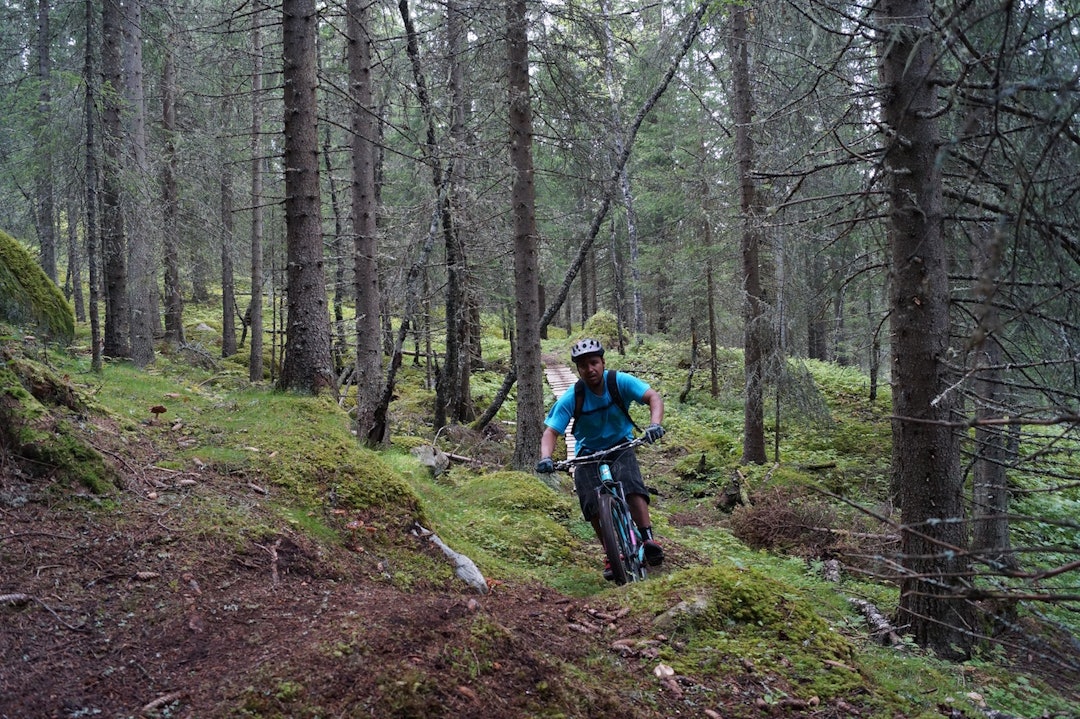 Løypeleggerne er i gang med å velge ut stier til fartsetappene, og lover både flyt og knot. Foto: Arrangøren Hemsedal Enduro Hardbarka - Arrangøren 1400x933