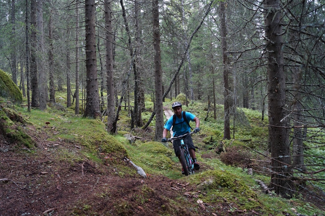 Hemsedal Enduro Hardbarka - Arrangøren 1400x933