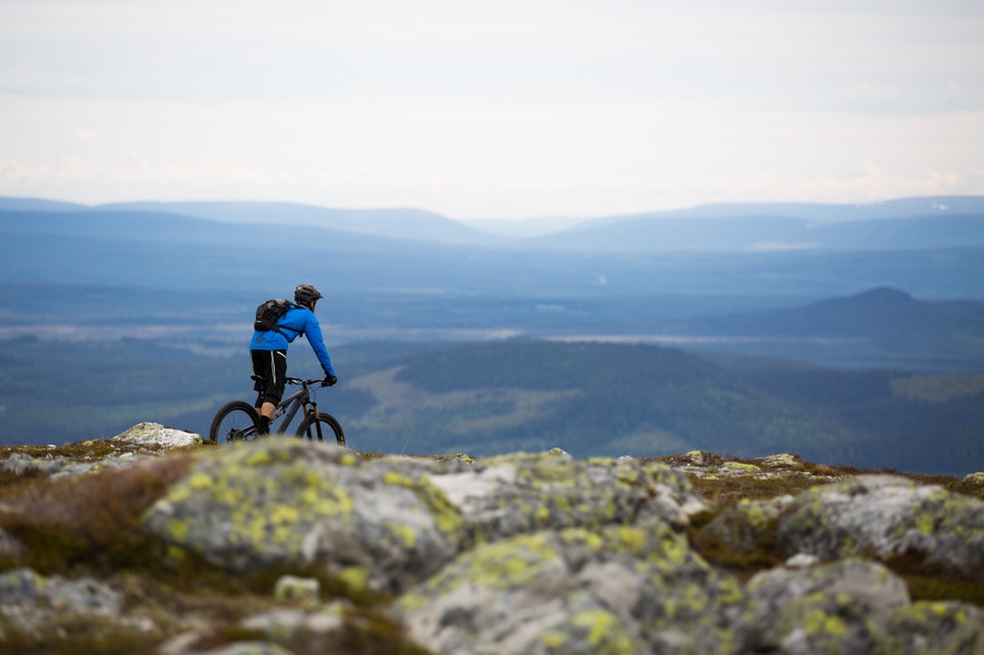 UTSIKT: Deretter kunne man nyte utsikten før nesa ble satt nedover igjen. (foto: Snorre Veggan) utflukt-0007a