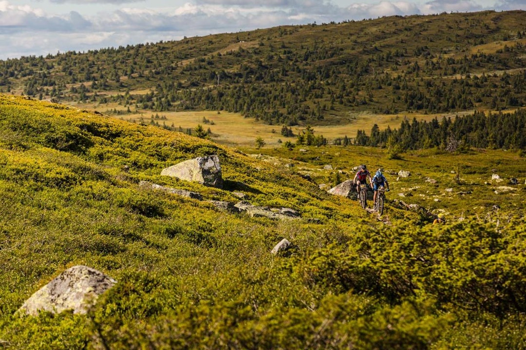 ULTRABIRKEN: Men vi var selvsagt også på plass om dagen for å formidle de gode opplevelsene. Som her. (foto: Snorre Veggan) ultrabirk1